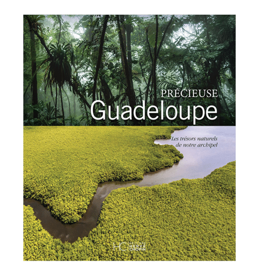 Précieuse Guadeloupe