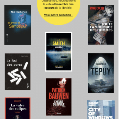 toute la violence des hommes de paul colize finaliste du prix polar de la librairie du pincerais